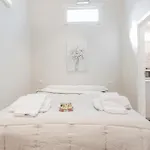 Centro Da Vinci Loft Apartment Florence